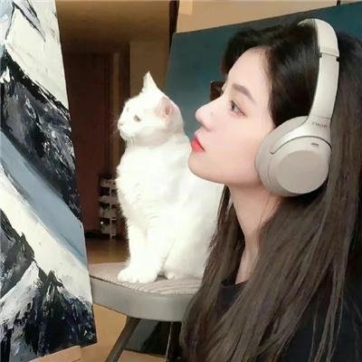 真正的正义4