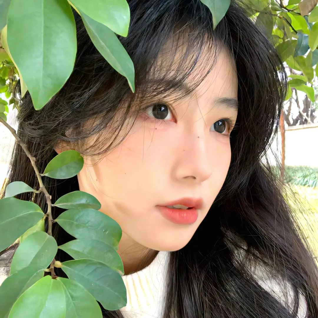 圣经：创世纪